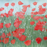 Papaveri - acrilico su tela / acrylic on canvas, cm 70x100  (2014)